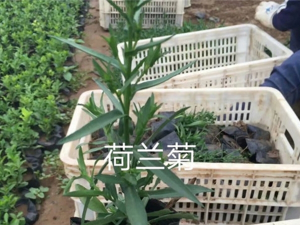 發貨現場