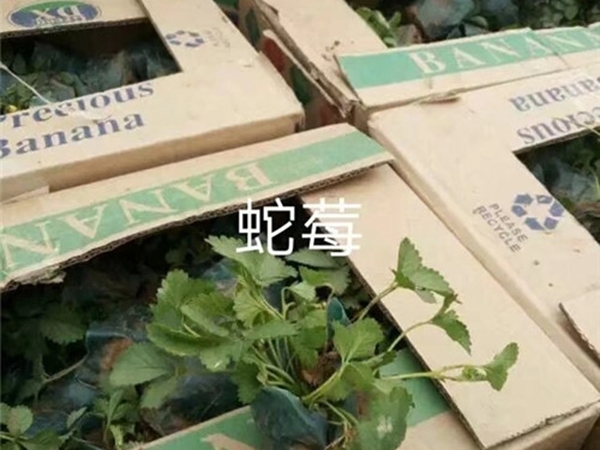 發貨現場