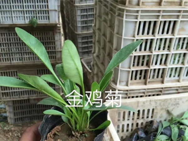 發貨現場